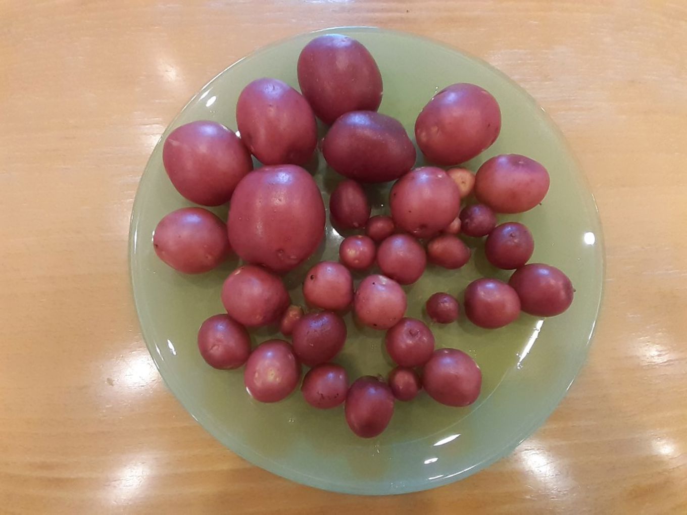 Poteter fra Voksentoppen skole