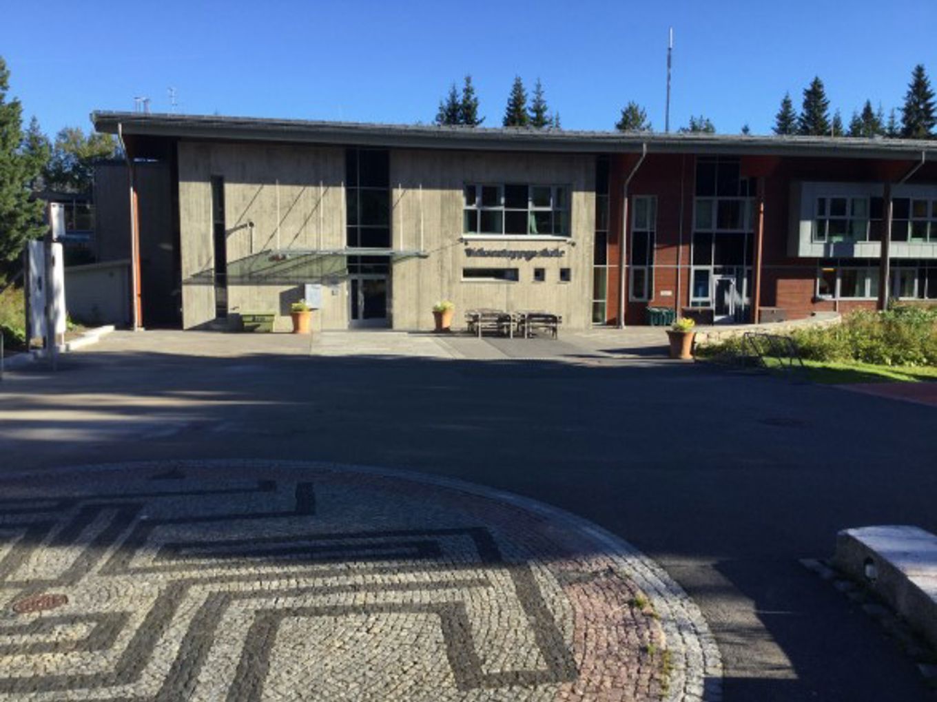 skolegårdsommer skolegårdsommer