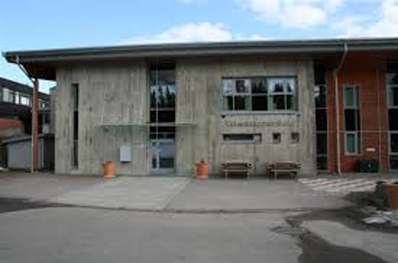 Skolen